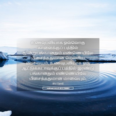 Picture 05 - எண்ணாகமம் 28:12 TAMIRV - உணவுபலியாக - Bible Verse Picture