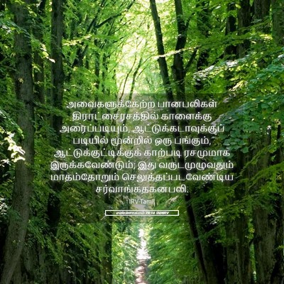 Picture 05 - எண்ணாகமம் 28:14 TAMIRV - அவைகளுக்கேற்ற - Bible Verse Picture