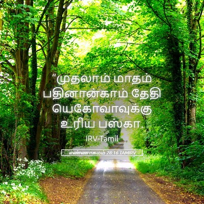 Picture 05 - எண்ணாகமம் 28:16 TAMIRV - “முதலாம் மாதம் - Bible Verse Picture