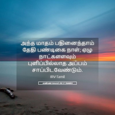 Picture 05 - எண்ணாகமம் 28:17 TAMIRV - அந்த மாதம் - Bible Verse Picture