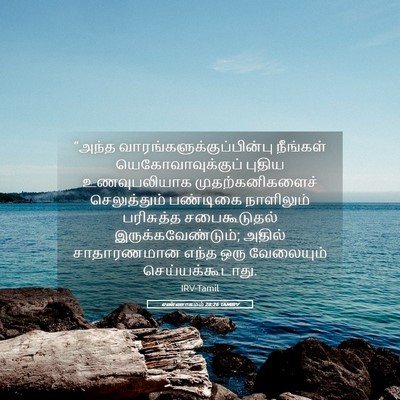 Picture 05 - எண்ணாகமம் 28:26 TAMIRV - “அந்த - Bible Verse Picture