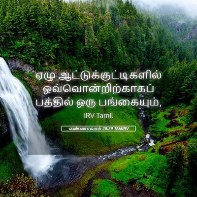 Picture 05 - எண்ணாகமம் 28:29 TAMIRV - ஏழு - Bible Verse Picture
