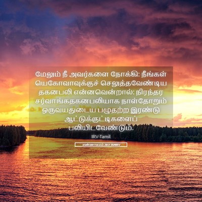 Picture 05 - எண்ணாகமம் 28:3 TAMIRV - மேலும் நீ அவர்களை - Bible Verse Picture
