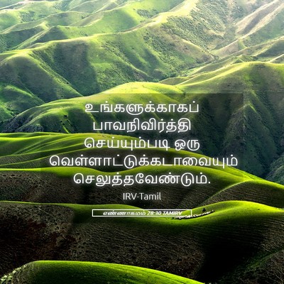 Picture 05 - எண்ணாகமம் 28:30 TAMIRV - உங்களுக்காகப் - Bible Verse Picture