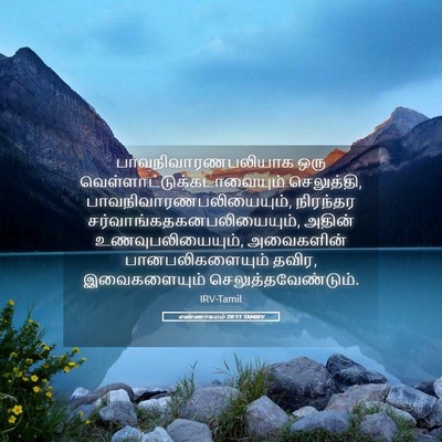 Picture 05 - எண்ணாகமம் 29:11 TAMIRV - பாவநிவாரணபலியாக - Bible Verse Picture