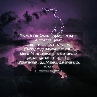 Picture 05 - எண்ணாகமம் 29:13 TAMIRV - நீங்கள் - Bible Verse Picture