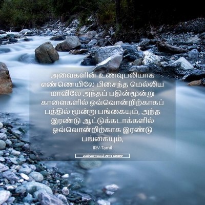 Picture 05 - எண்ணாகமம் 29:14 TAMIRV - அவைகளின் - Bible Verse Picture