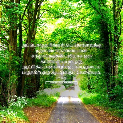 Picture 05 - எண்ணாகமம் 29:2 TAMIRV - அப்பொழுது நீங்கள் - Bible Verse Picture