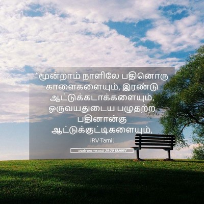 Picture 05 - எண்ணாகமம் 29:20 TAMIRV - “மூன்றாம் நாளிலே - Bible Verse Picture