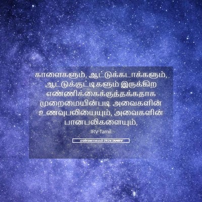Picture 05 - எண்ணாகமம் 29:24 TAMIRV - காளைகளும், - Bible Verse Picture
