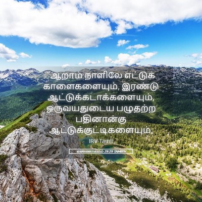 Picture 05 - எண்ணாகமம் 29:29 TAMIRV - “ஆறாம் நாளிலே - Bible Verse Picture
