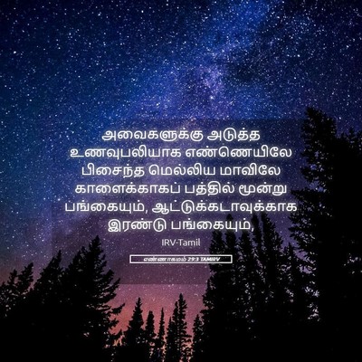 Picture 05 - எண்ணாகமம் 29:3 TAMIRV - அவைகளுக்கு அடுத்த - Bible Verse Picture