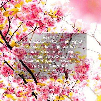 Picture 05 - எண்ணாகமம் 29:31 TAMIRV - நிரந்தர - Bible Verse Picture