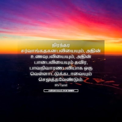 Picture 05 - எண்ணாகமம் 29:38 TAMIRV - நிரந்தர - Bible Verse Picture
