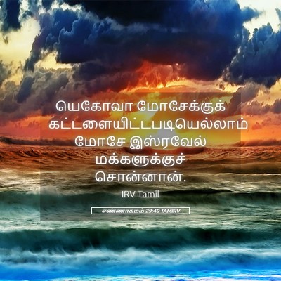 Picture 05 - எண்ணாகமம் 29:40 TAMIRV - யெகோவா மோசேக்குக் - Bible Verse Picture