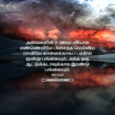 Picture 05 - எண்ணாகமம் 29:9 TAMIRV - அவைகளின் - Bible Verse Picture