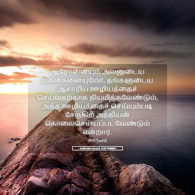 Picture 05 - எண்ணாகமம் 3:10 TAMIRV - ஆரோனையும் அவனுடைய - Bible Verse Picture