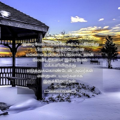 Picture 05 - எண்ணாகமம் 3:12 TAMIRV - “இஸ்ரவேல் - Bible Verse Picture