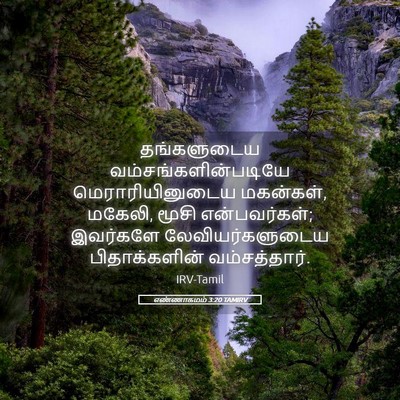 Picture 05 - எண்ணாகமம் 3:20 TAMIRV - தங்களுடைய - Bible Verse Picture
