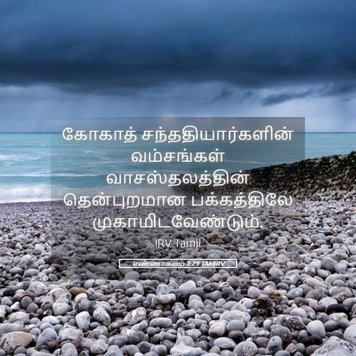 Picture 05 - எண்ணாகமம் 3:29 TAMIRV - கோகாத் - Bible Verse Picture