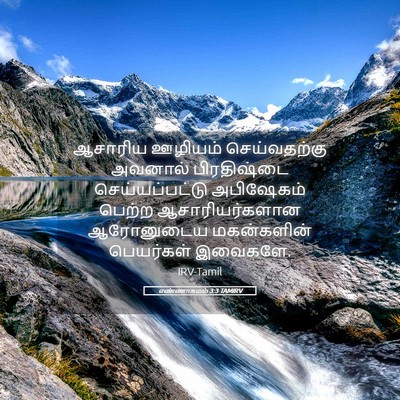 Picture 05 - எண்ணாகமம் 3:3 TAMIRV - ஆசாரிய ஊழியம் - Bible Verse Picture
