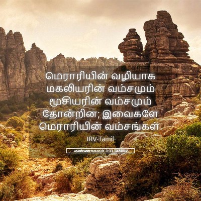 Picture 05 - எண்ணாகமம் 3:33 TAMIRV - மெராரியின் வழியாக - Bible Verse Picture