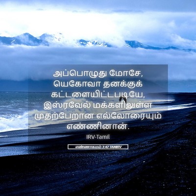 Picture 05 - எண்ணாகமம் 3:42 TAMIRV - அப்பொழுது மோசே, - Bible Verse Picture