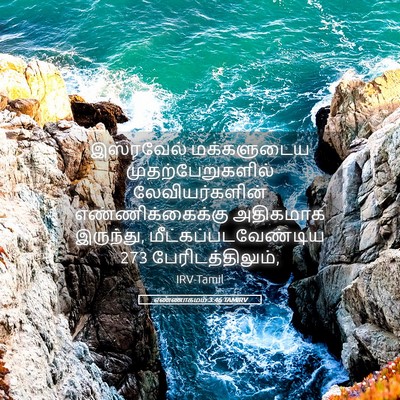 Picture 05 - எண்ணாகமம் 3:46 TAMIRV - இஸ்ரவேல் - Bible Verse Picture