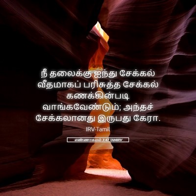 Picture 05 - எண்ணாகமம் 3:47 TAMIRV - நீ தலைக்கு ஐந்து - Bible Verse Picture