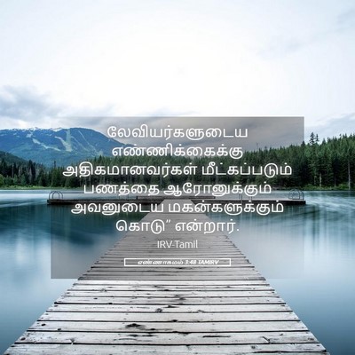 Picture 05 - எண்ணாகமம் 3:48 TAMIRV - லேவியர்களுடைய - Bible Verse Picture