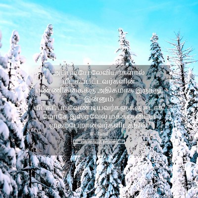 Picture 05 - எண்ணாகமம் 3:49 TAMIRV - அப்படியே - Bible Verse Picture