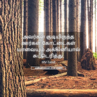 Picture 05 - எண்ணாகமம் 31:10 TAMIRV - அவர்கள் - Bible Verse Picture