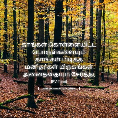 Picture 05 - எண்ணாகமம் 31:11 TAMIRV - தாங்கள் - Bible Verse Picture
