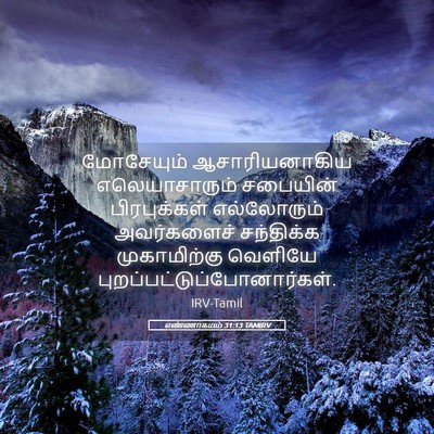 Picture 05 - எண்ணாகமம் 31:13 TAMIRV - மோசேயும் - Bible Verse Picture