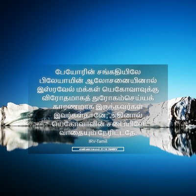 Picture 05 - எண்ணாகமம் 31:16 TAMIRV - பேயோரின் - Bible Verse Picture