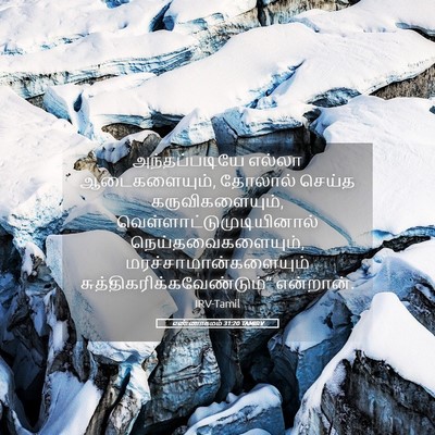 Picture 05 - எண்ணாகமம் 31:20 TAMIRV - அந்தப்படியே எல்லா - Bible Verse Picture