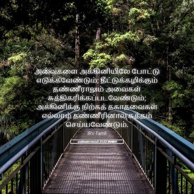 Picture 05 - எண்ணாகமம் 31:23 TAMIRV - அவைகளை - Bible Verse Picture