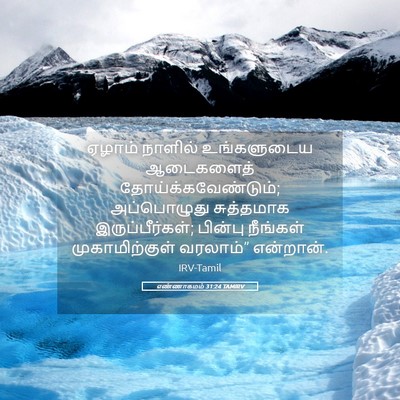Picture 05 - எண்ணாகமம் 31:24 TAMIRV - ஏழாம் நாளில் - Bible Verse Picture