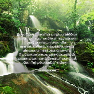 Picture 05 - எண்ணாகமம் 31:30 TAMIRV - இஸ்ரவேல் மக்களின் - Bible Verse Picture