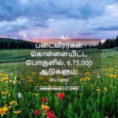 Picture 05 - எண்ணாகமம் 31:32 TAMIRV - படைவீரர்கள் - Bible Verse Picture