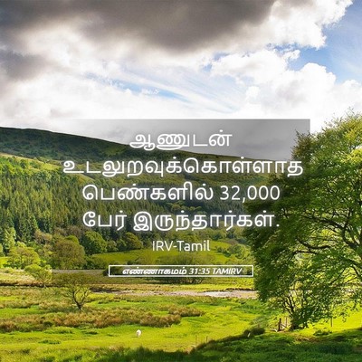 Picture 05 - எண்ணாகமம் 31:35 TAMIRV - ஆணுடன் - Bible Verse Picture