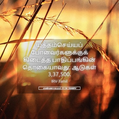 Picture 05 - எண்ணாகமம் 31:36 TAMIRV - யுத்தம்செய்யப் - Bible Verse Picture