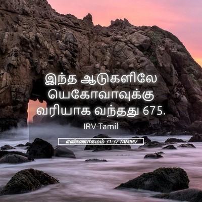 Picture 05 - எண்ணாகமம் 31:37 TAMIRV - இந்த ஆடுகளிலே - Bible Verse Picture