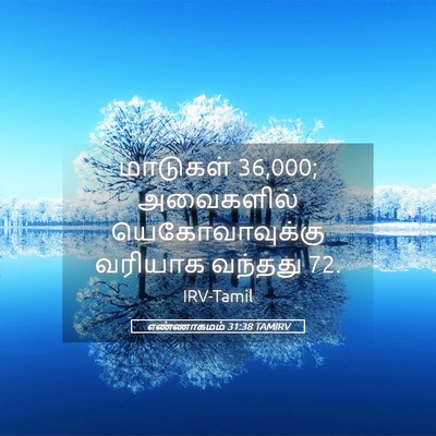 Picture 05 - எண்ணாகமம் 31:38 TAMIRV - மாடுகள் 36,000; - Bible Verse Picture