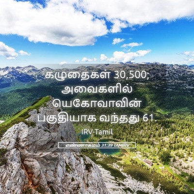 Picture 05 - எண்ணாகமம் 31:39 TAMIRV - கழுதைகள் 30,500; - Bible Verse Picture