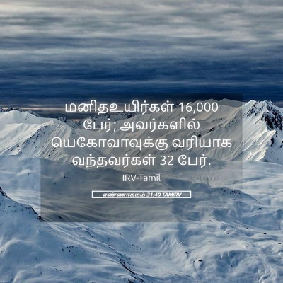 Picture 05 - எண்ணாகமம் 31:40 TAMIRV - மனிதஉயிர்கள் 16,000 - Bible Verse Picture
