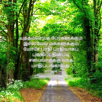 Picture 05 - எண்ணாகமம் 31:42 TAMIRV - யுத்தம்செய்த - Bible Verse Picture