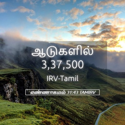 Picture 05 - எண்ணாகமம் 31:43 TAMIRV - ஆடுகளில் - Bible Verse Picture