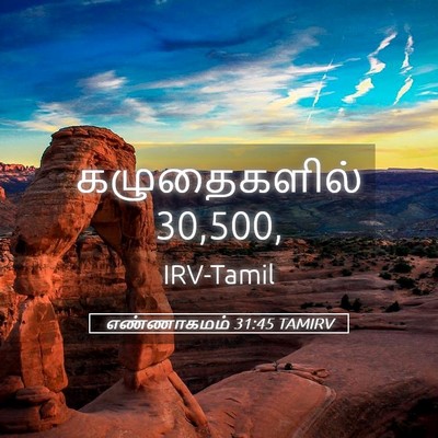 Picture 05 - எண்ணாகமம் 31:45 TAMIRV - கழுதைகளில் - Bible Verse Picture