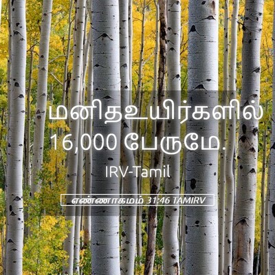 Picture 05 - எண்ணாகமம் 31:46 TAMIRV - மனிதஉயிர்களில் 16,000 - Bible Verse Picture